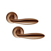 Ручки на розеті COLOMBO Mach CD81 (CD69BZGG-CD63GB) антична латунь